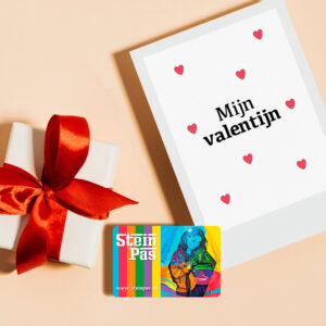 Mijn valentijn - SteinPas valentijnscadeau