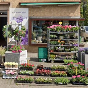 bloemen-planten-van-bloemenboutique-monique-portfolio